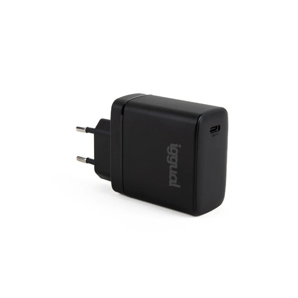 iggual Cargador rapido USB PD tipo C 45W GaN