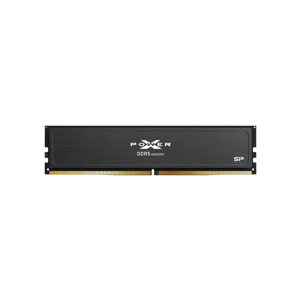 SP MEMORIA DDR5 6000C30OC UDIMM16GB SR