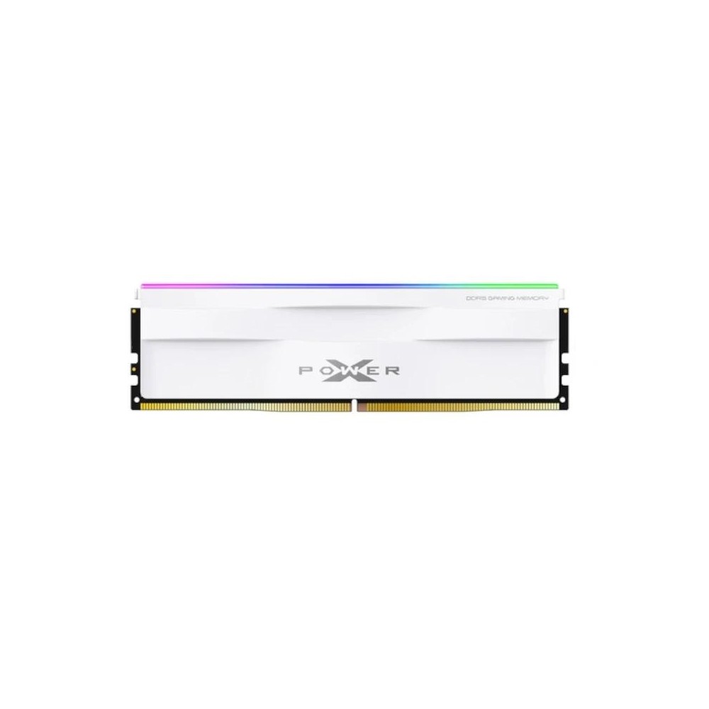 SP MEMORIA DDR5 5600C40RGB UDIMM16GB SR