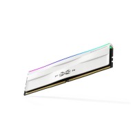 SP MEMORIA DDR5 5600C40RGB UDIMM16GB SR