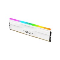 SP MEMORIA DDR5 5600C40RGB UDIMM16GB SR