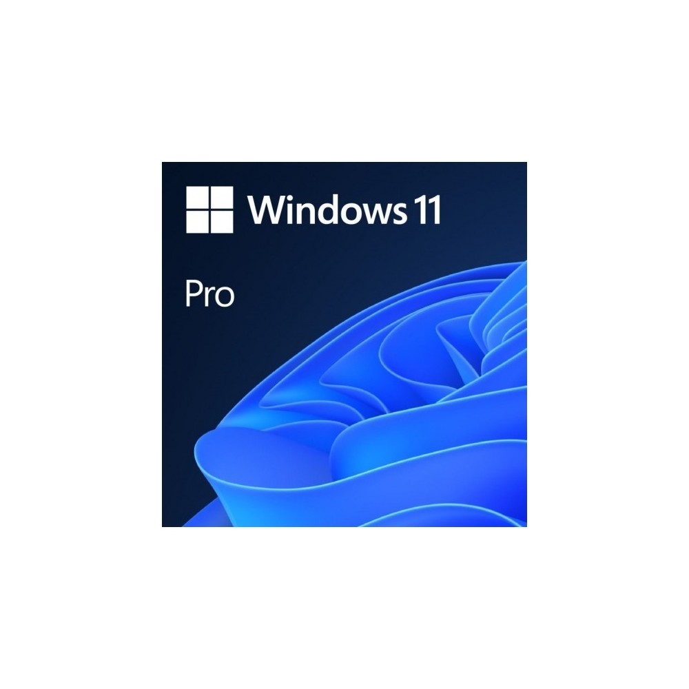 Microsoft Windows 11 Pro 64b Es OEM DVD