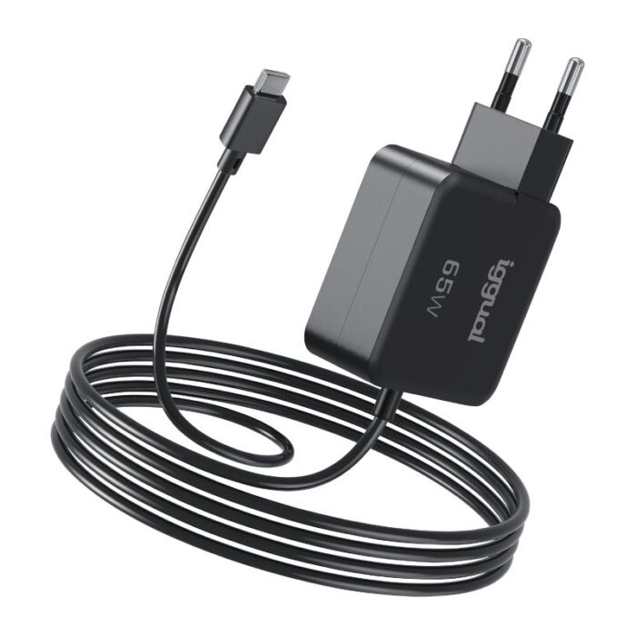 iggual Cargador portátil y móvil tipo C PD 65W - Imagen 1